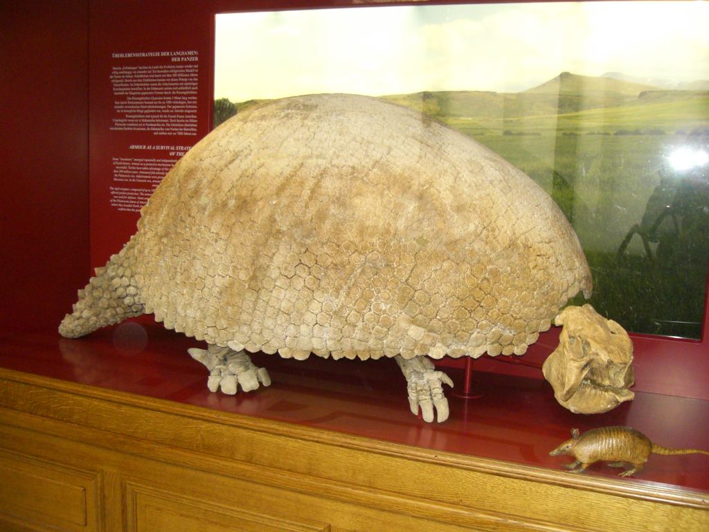 Фото 13 - Венгерский Национальный Музей естественной истории