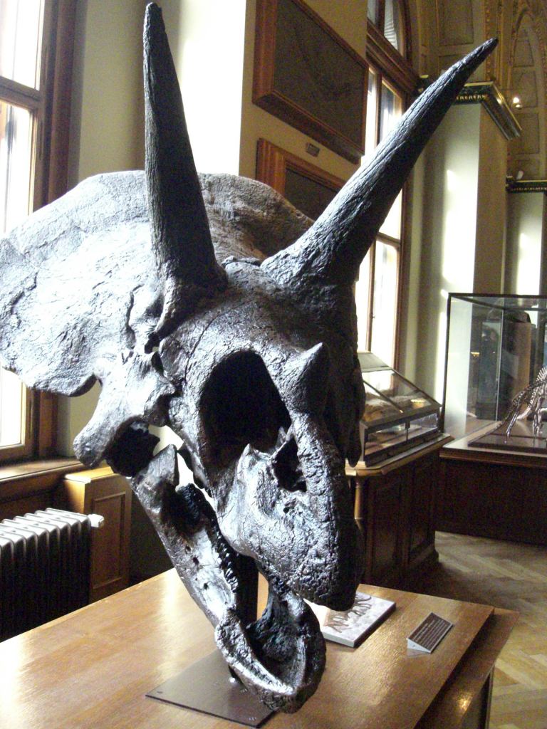 Фото 29 - Венгерский Национальный Музей естественной истории