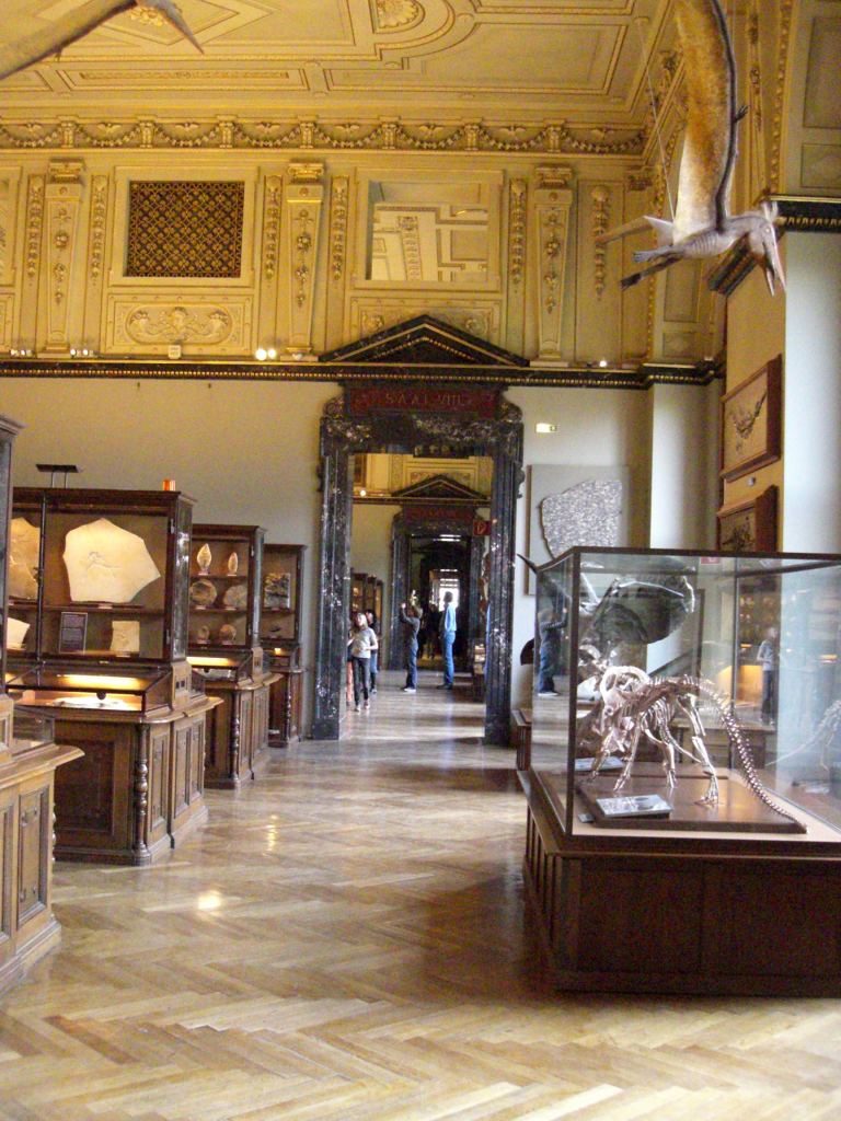 Фото 34 - Венгерский Национальный Музей естественной истории