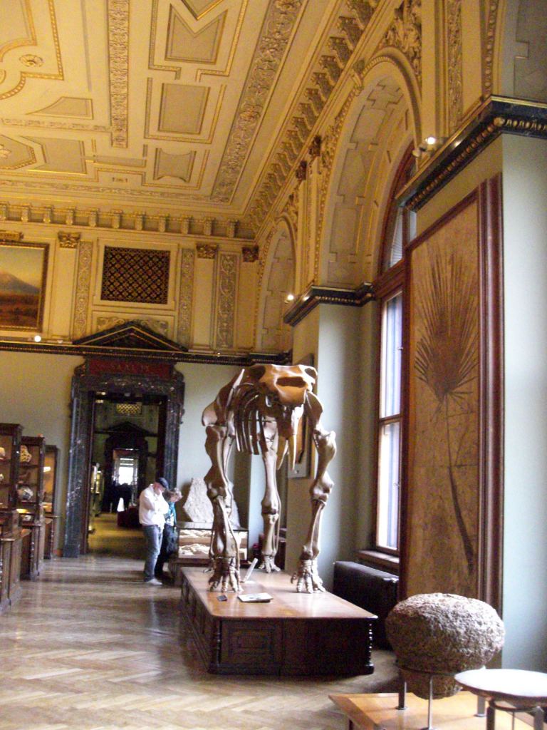 Фото 41 - Венгерский Национальный Музей естественной истории