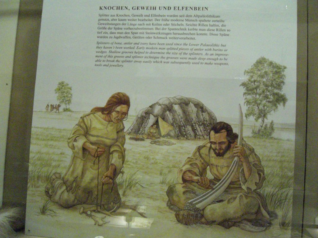 Фото 49 - Венгерский Национальный Музей естественной истории