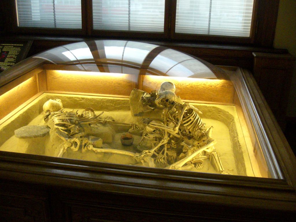 Фото 53 - Венгерский Национальный Музей естественной истории