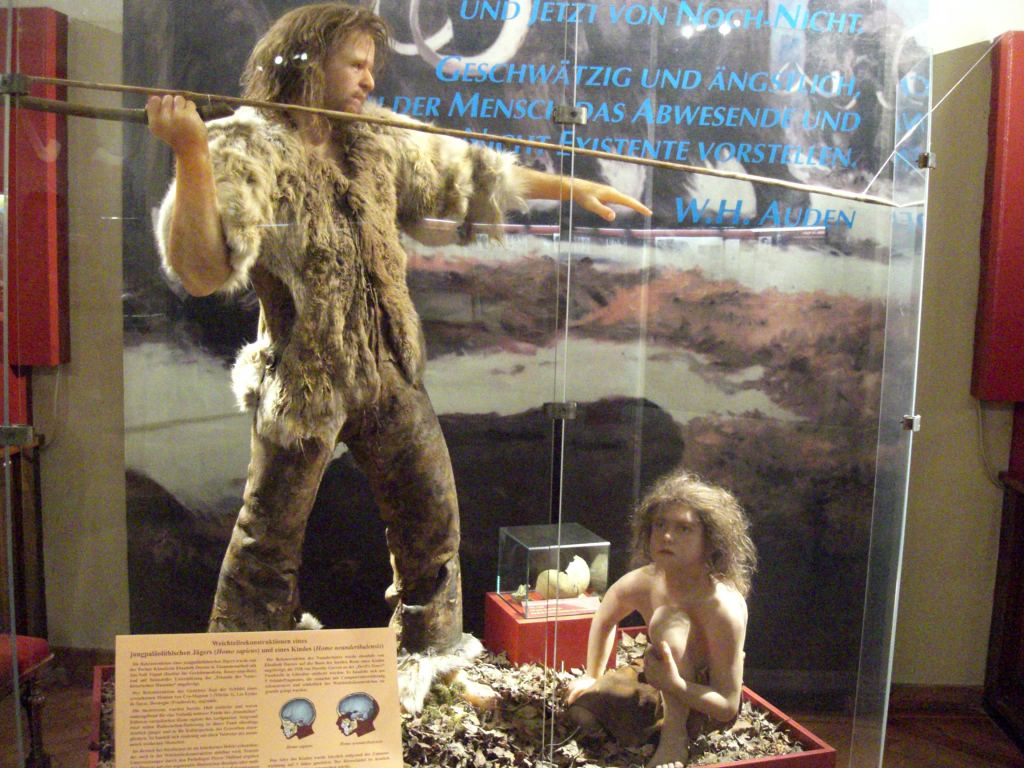 Фото 59 - Венгерский Национальный Музей естественной истории