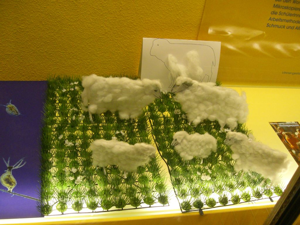 Фото 64 - Венгерский Национальный Музей естественной истории