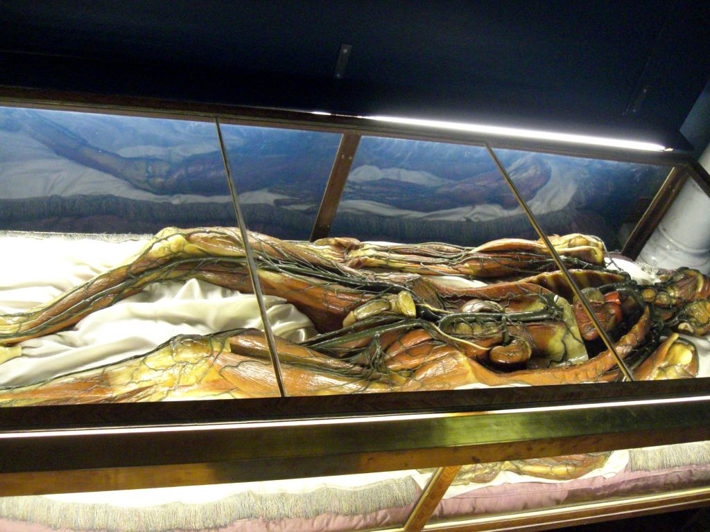 Фото 67 - Венгерский Национальный Музей естественной истории