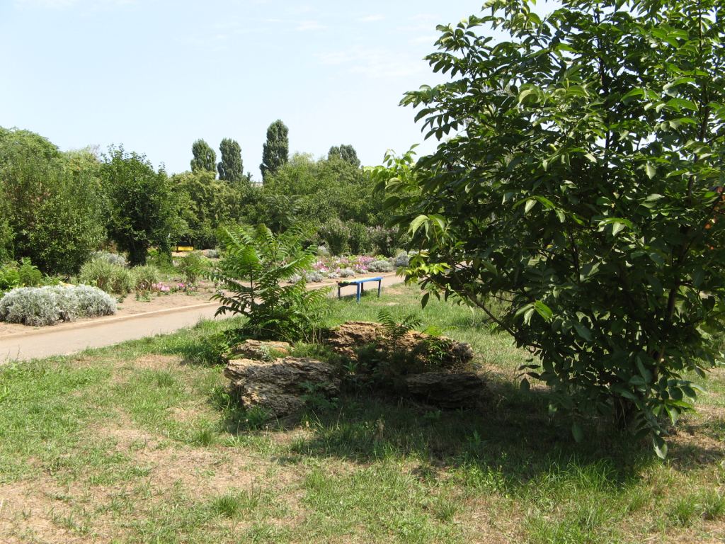 В парке красиво и ухоженно - Ильичевск и музей фарфора