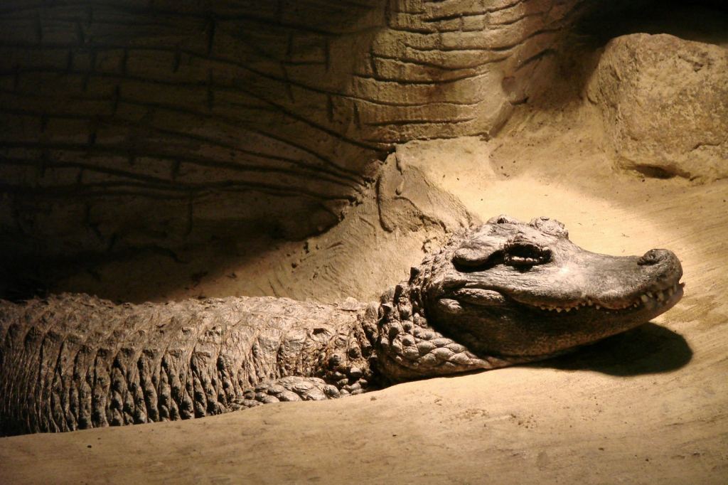 Фото 4 - Киевский зоопарк