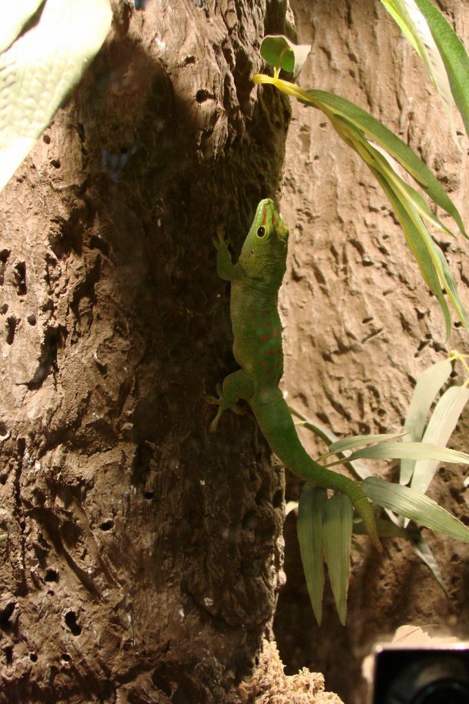 Фото 6 - Киевский зоопарк