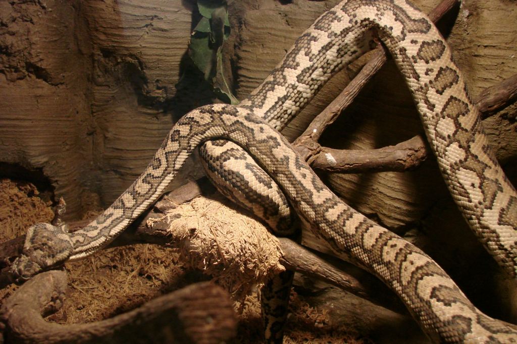 Фото 8 - Киевский зоопарк