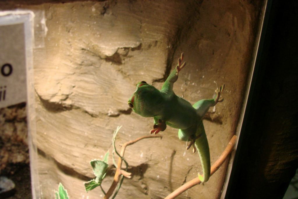 Фото 10 - Киевский зоопарк