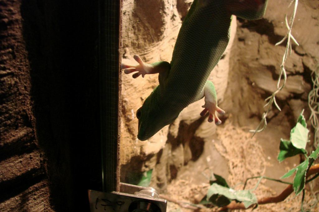 Фото 11 - Киевский зоопарк