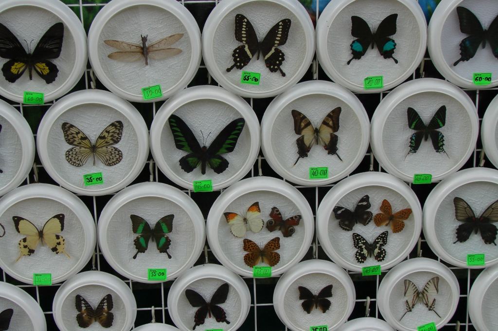 Фото 44 - Киевский зоопарк