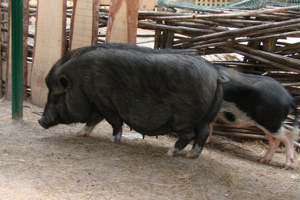 Фото 49 - Киевский зоопарк