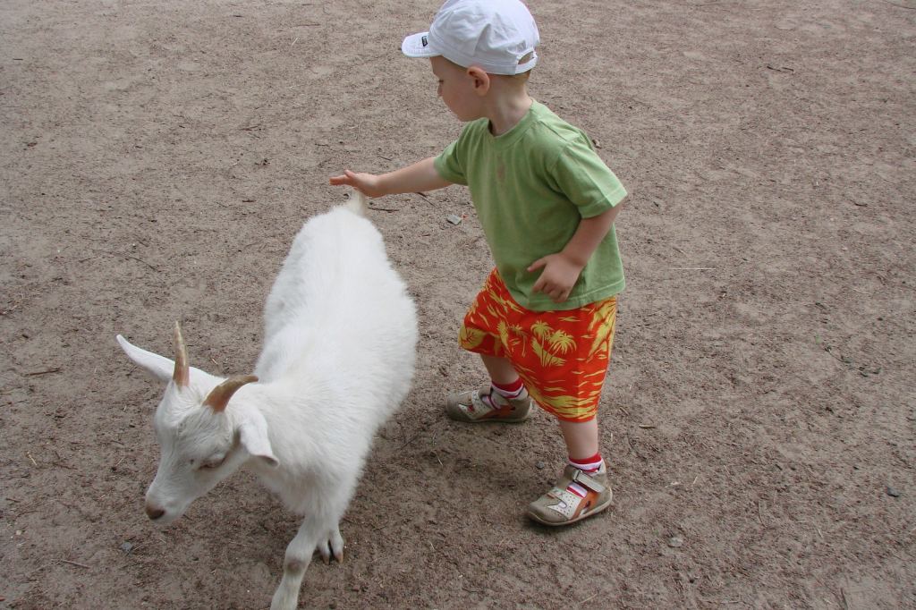 Фото 52 - Киевский зоопарк