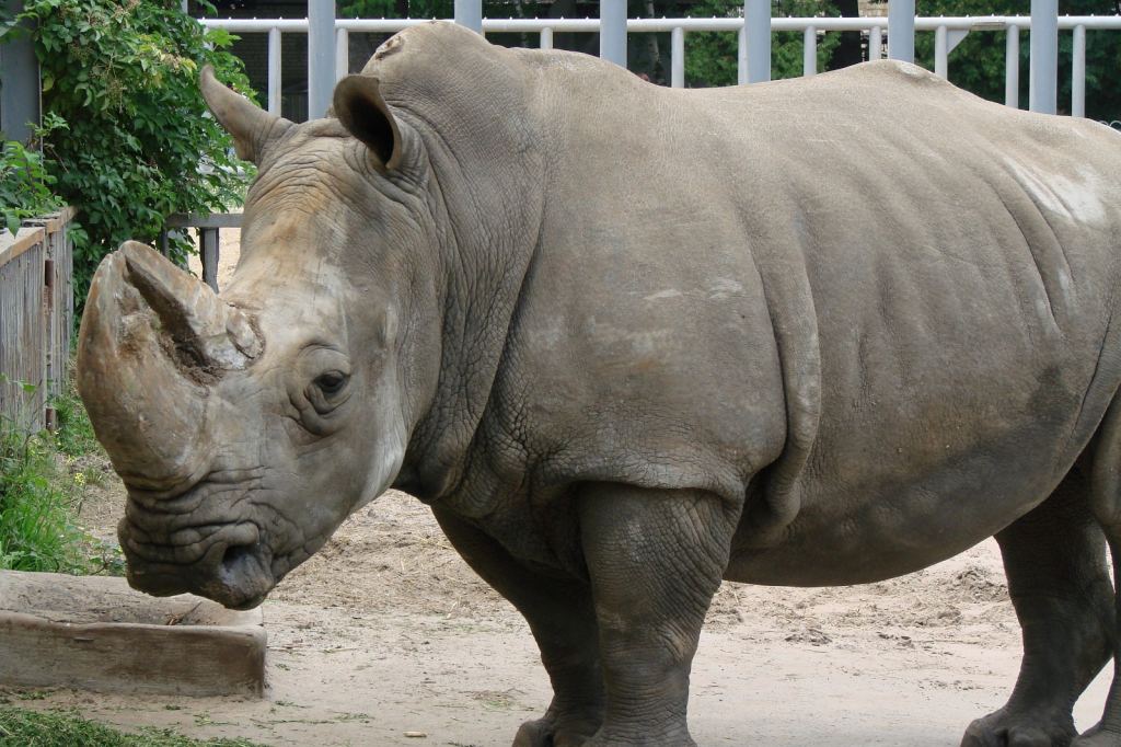 Фото 64 - Киевский зоопарк