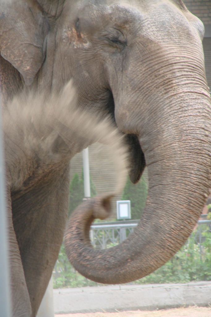 Фото 67 - Киевский зоопарк