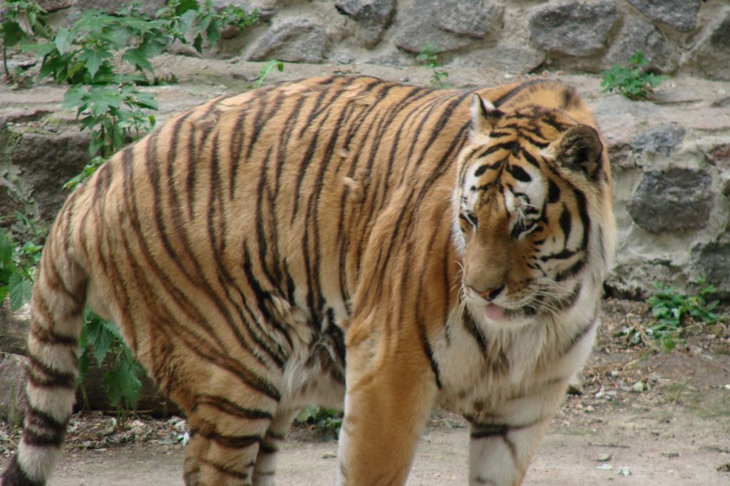 Фото 71 - Киевский зоопарк