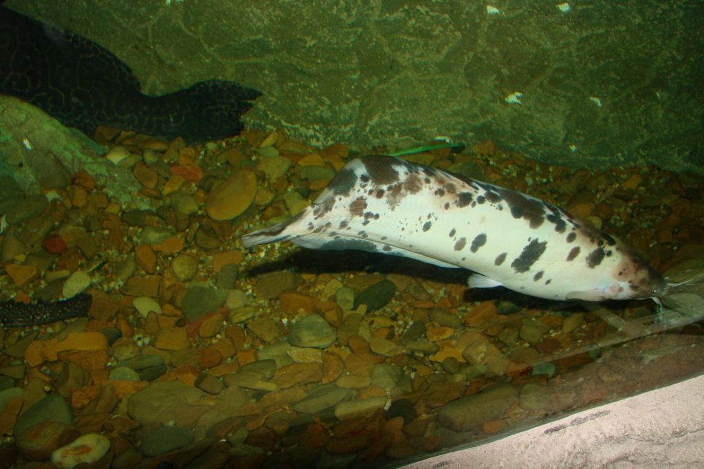 Фото 76 - Киевский зоопарк