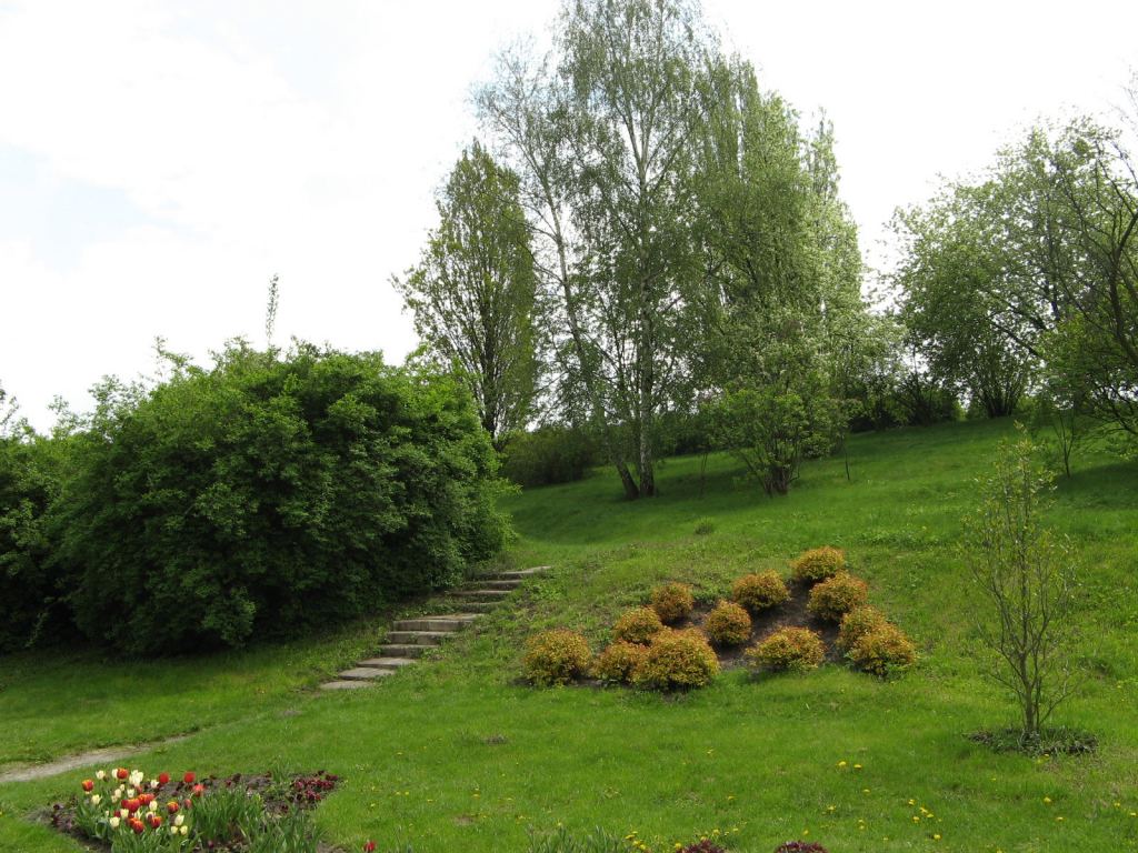 В Национальном Киевском ботаническом саду - Киев - Ботанический сад им. Гришка весной