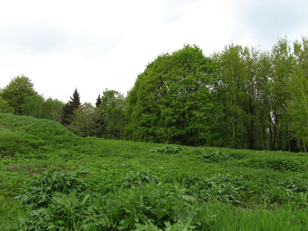 В Национальном Киевском ботаническом саду - Киев - Ботанический сад им. Гришка весной