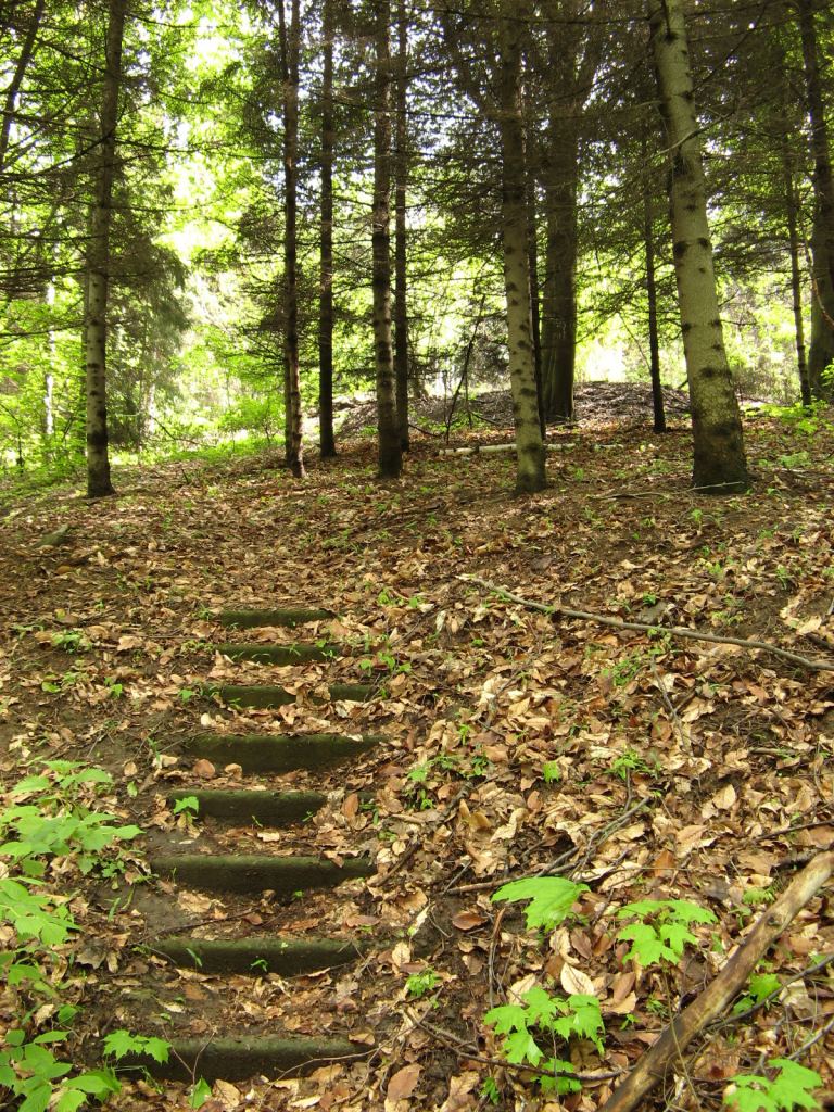 В Национальном Киевском ботаническом саду - Киев - Ботанический сад им. Гришка весной