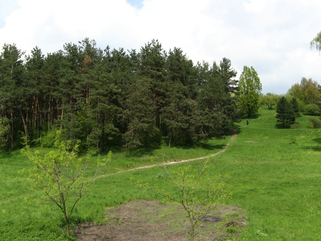 В Национальном Киевском ботаническом саду - Киев - Ботанический сад им. Гришка весной