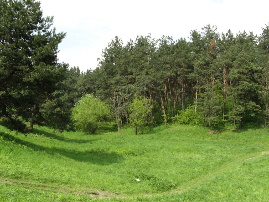 В Национальном Киевском ботаническом саду - Киев - Ботанический сад им. Гришка весной