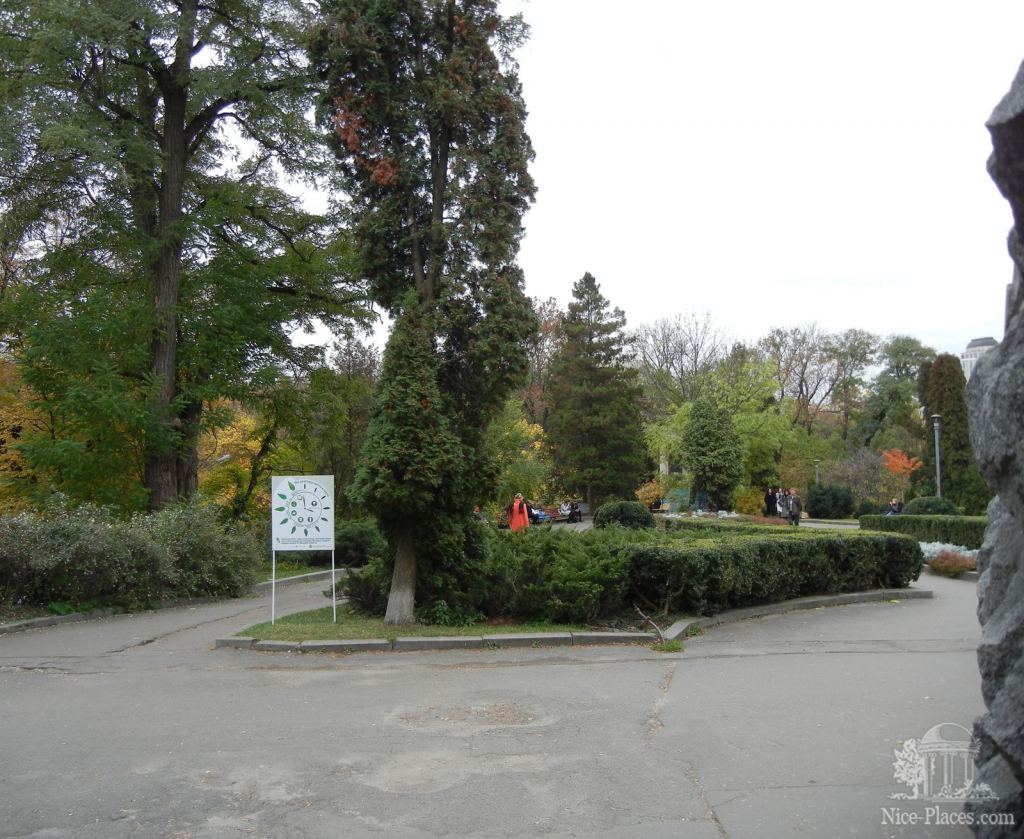 Фото 1 - Золотая осень в ботаническом саду им. Фомина