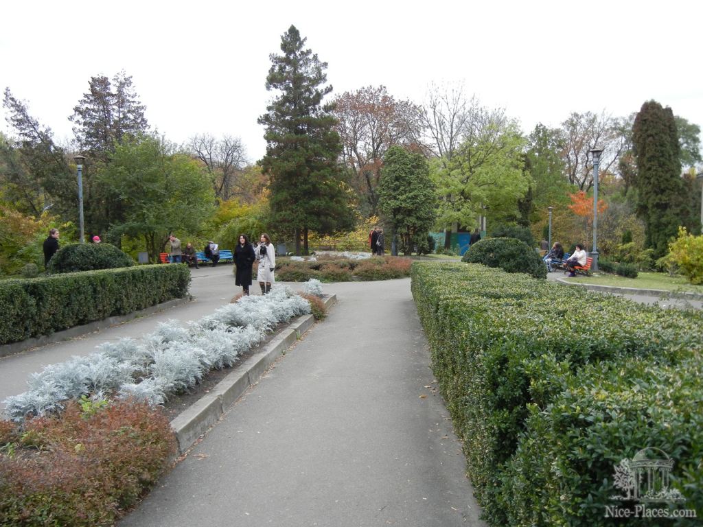 Фото 2 - Золотая осень в ботаническом саду им. Фомина