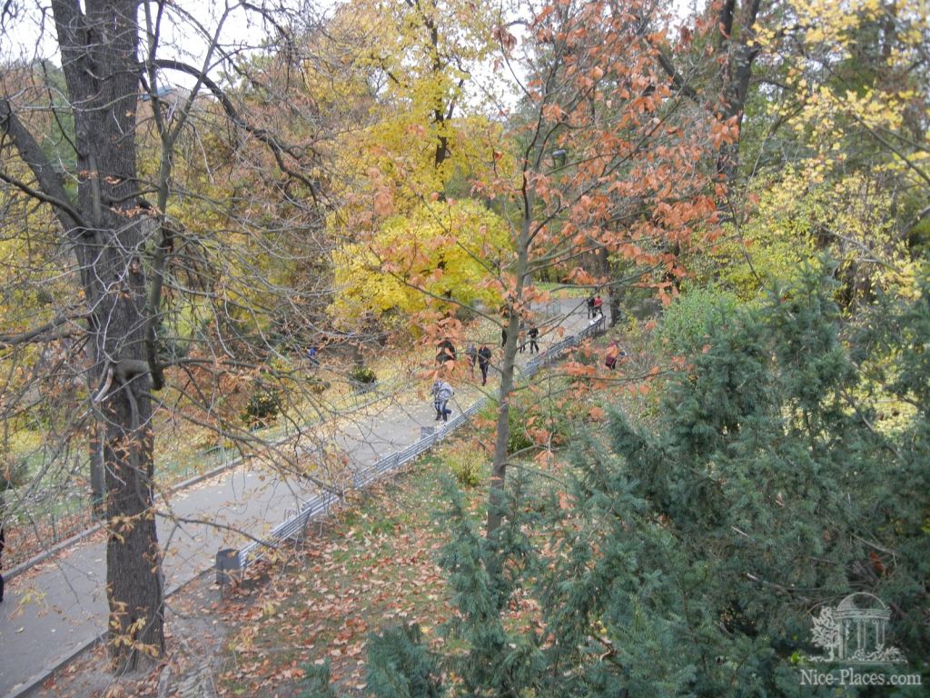 Фото 4 - Золотая осень в ботаническом саду им. Фомина