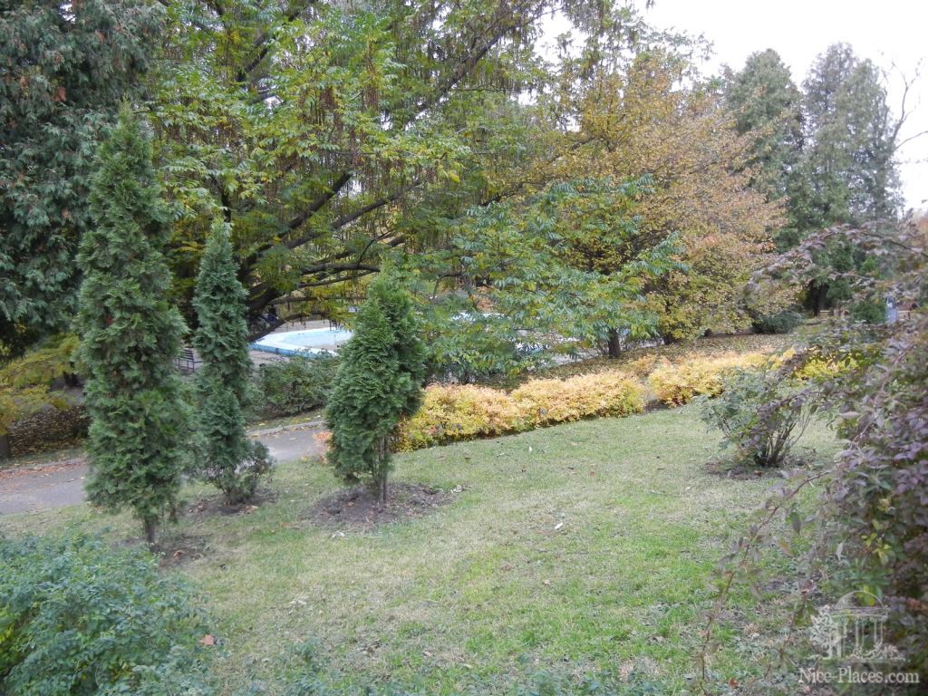 Фото 5 - Золотая осень в ботаническом саду им. Фомина