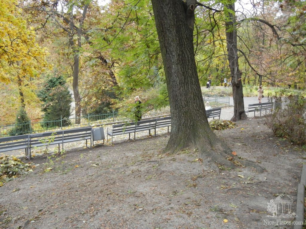 Фото 6 - Золотая осень в ботаническом саду им. Фомина