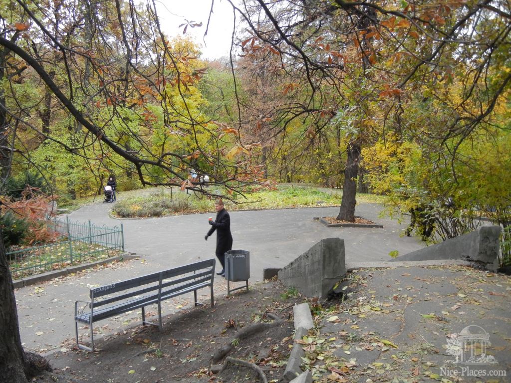 Фото 7 - Золотая осень в ботаническом саду им. Фомина