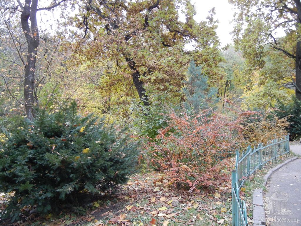 Фото 8 - Золотая осень в ботаническом саду им. Фомина