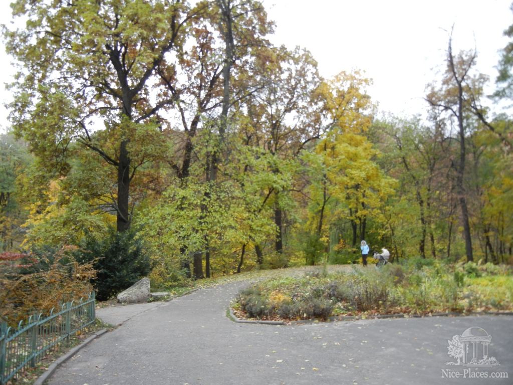 Фото 9 - Золотая осень в ботаническом саду им. Фомина