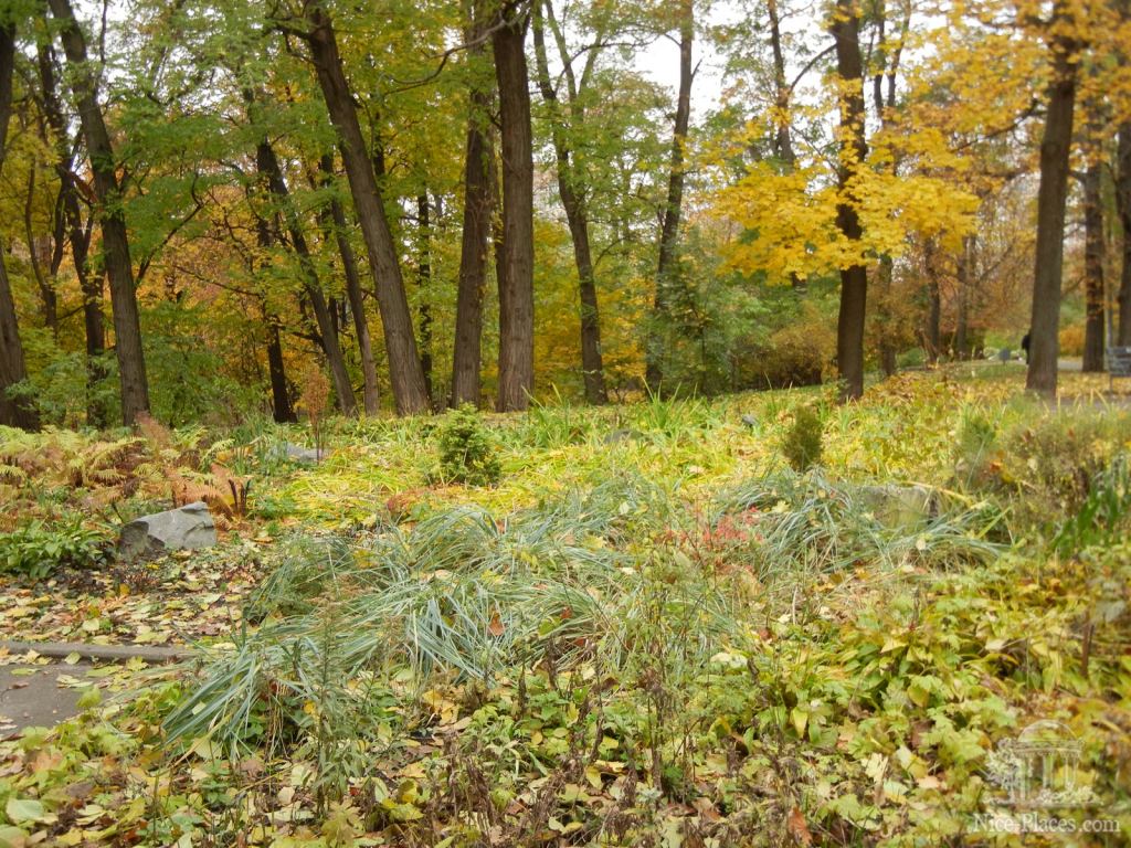 Фото 10 - Золотая осень в ботаническом саду им. Фомина