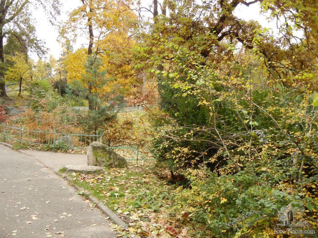 Фото 11 - Золотая осень в ботаническом саду им. Фомина