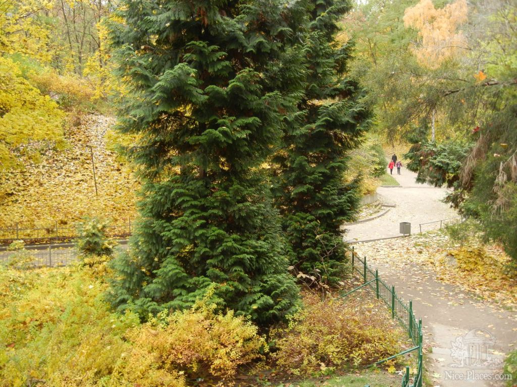 Фото 14 - Золотая осень в ботаническом саду им. Фомина