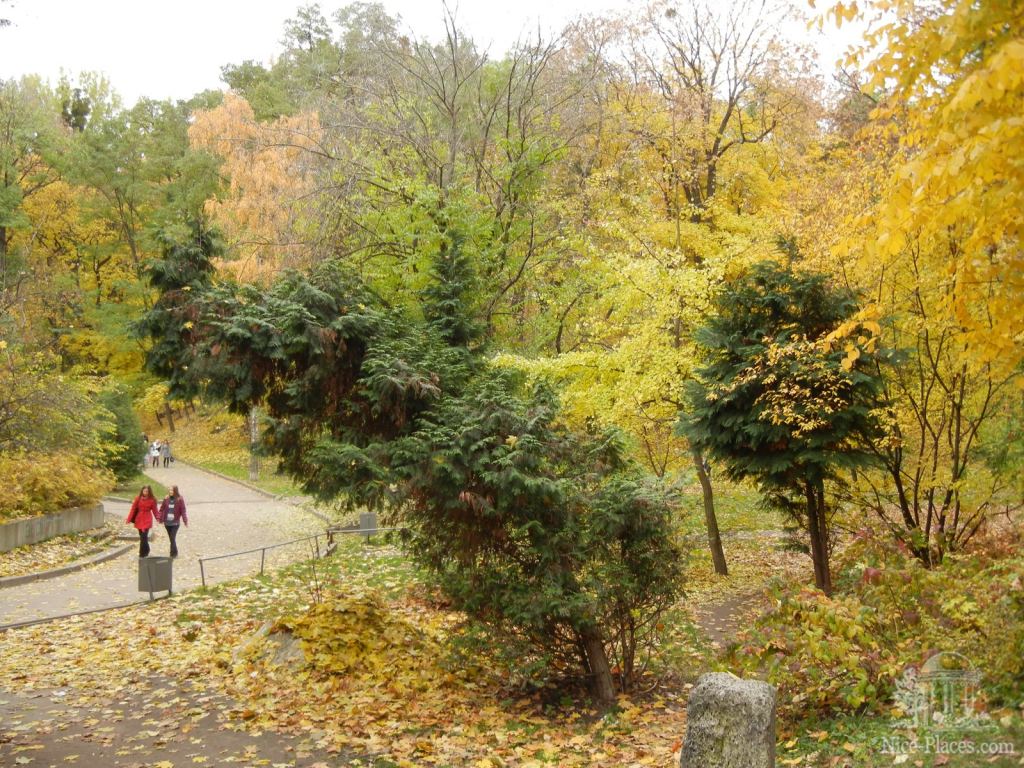 Фото 16 - Золотая осень в ботаническом саду им. Фомина