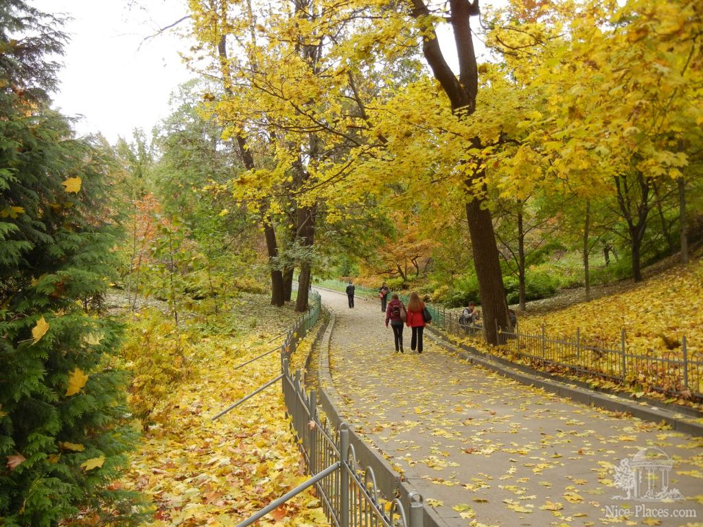 Фото 17 - Золотая осень в ботаническом саду им. Фомина