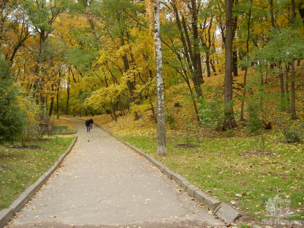 Фото 18 - Золотая осень в ботаническом саду им. Фомина