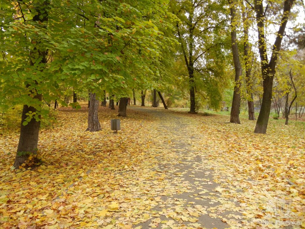 Фото 23 - Золотая осень в ботаническом саду им. Фомина