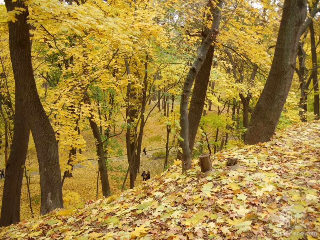 Фото 26 - Золотая осень в ботаническом саду им. Фомина