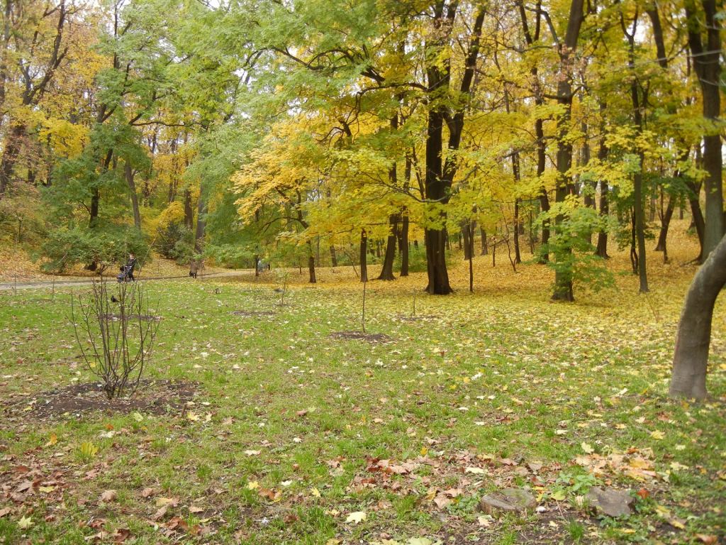 Фото 27 - Золотая осень в ботаническом саду им. Фомина