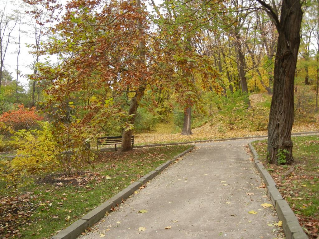 Фото 28 - Золотая осень в ботаническом саду им. Фомина