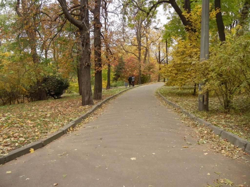 Фото 30 - Золотая осень в ботаническом саду им. Фомина