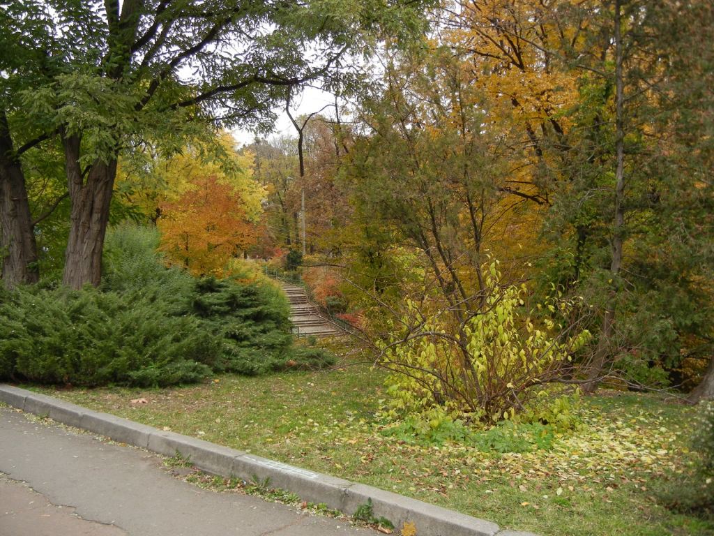 Фото 31 - Золотая осень в ботаническом саду им. Фомина