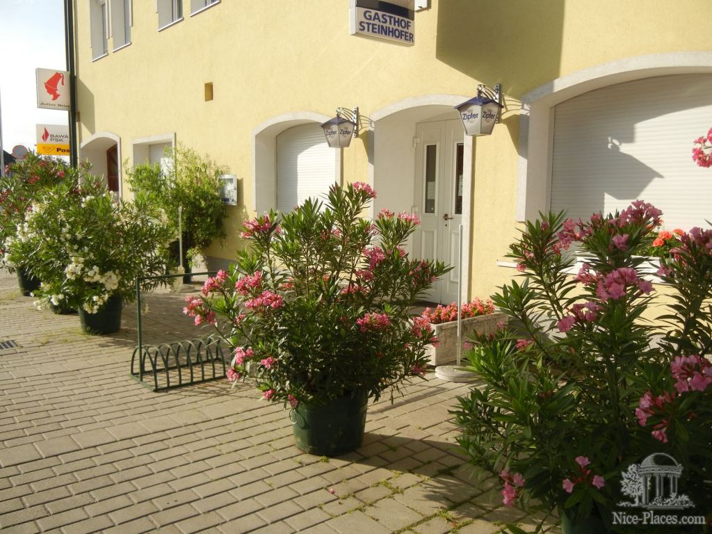 Кругом цветы - Киттзее, или как выглядит Австрийская деревня