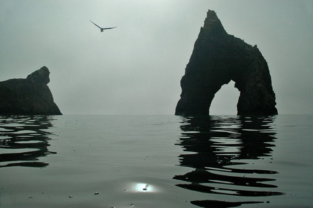 Утро туманное, утро седое - Красоты Крыма (артовые фото)