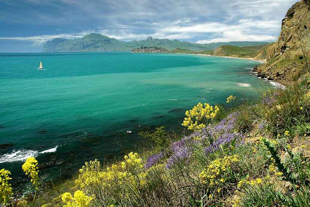 Степные травы Карадага - Красоты Крыма (артовые фото)